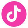 TikTok Logo